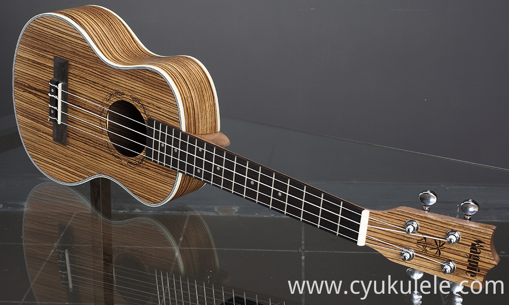 ukulele11 ukulele11